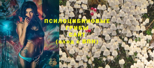 спайс Новодвинск