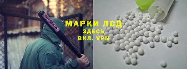 стаф Новокубанск