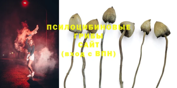 альфа пвп Новозыбков