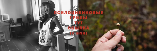 спайс Новодвинск