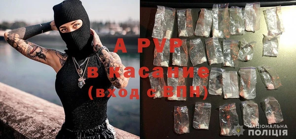 стаф Новокубанск