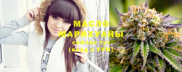 стаф Новокубанск
