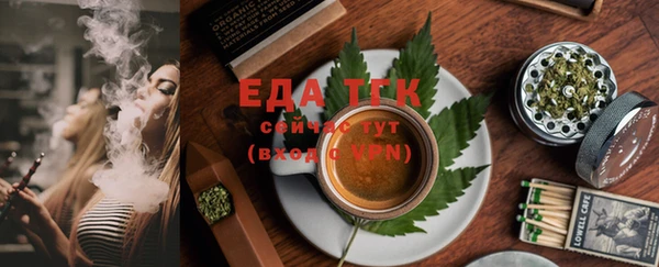 стаф Новокубанск