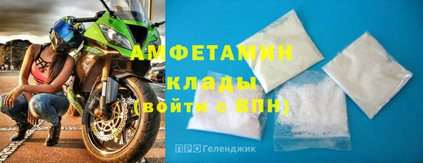 стаф Новокубанск