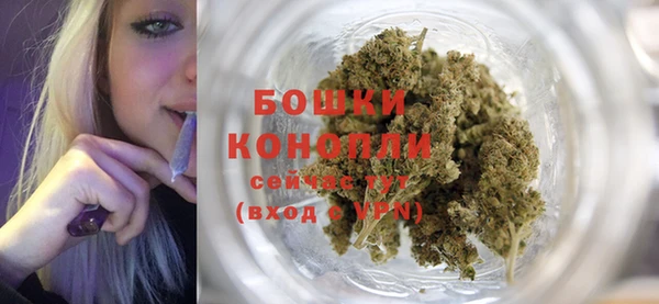 стаф Новокубанск