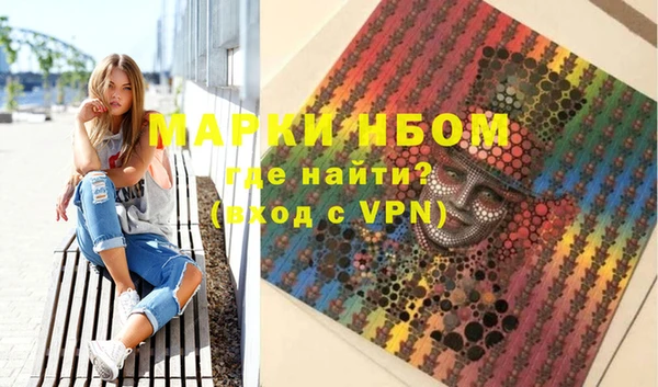 стаф Новокубанск